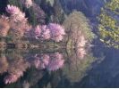 大町・青木湖アドベンチャークラブ
