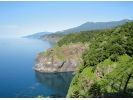 【北海道・知床】【2名様以上で貸切】【半日・送迎あり】知床岬眺望ツアーの様子