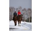 【北海道・登別】ホーストレッキング引き馬コース(20分)の様子