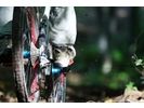 【長野・白馬】MTB ダウンヒル体験(1日ツアー)の様子