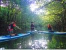 【沖縄・西表島】【石垣島からの日帰りOK】SUP&鍾乳洞探検の様子