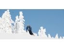 【八甲田山で樹氷の間をパウダーラン!】バックカントリツアー【半日コース】の様子