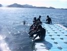 シュノーケル 南紀・越前1日コースの様子