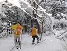 【富山・立山黒部】テレマークスキー体験プランの様子