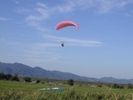 【徳島・吉野川/那賀川】パラグライダー体験フライト/タンデム(2人乗り)の様子