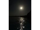 【鹿児島・奄美大島】海の神秘は昼だけじゃ終わらない!ナイトダイビングプラン!の様子
