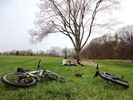 【長野県・浅間山】~高原をマウンテンバイクで駆け抜ける~MTBサイクリングツアー【MTB】の様子