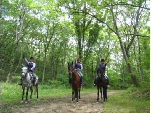 MIKIホーストレック(Miki Horse Trek)