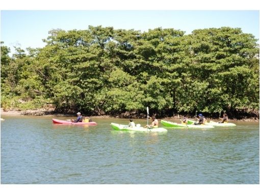 西表島 浦内川観光(Iriomote Island Urauchigawa kankou)