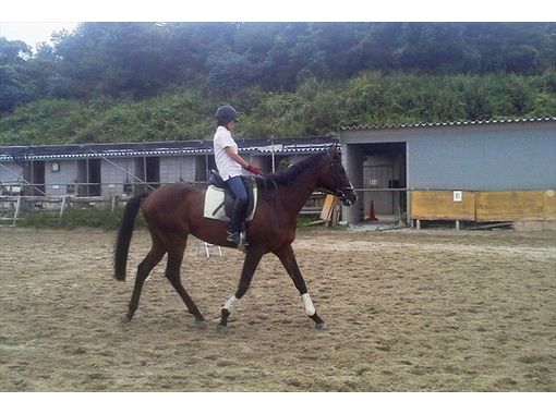 乗馬クラブ フジライディングパーク