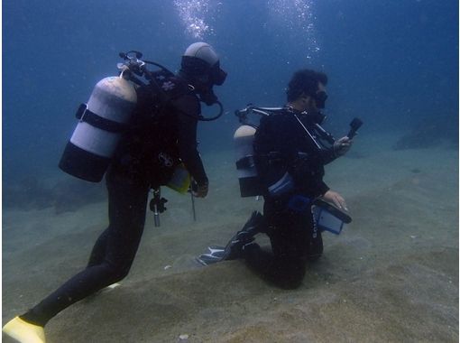 デュークダイビングサービス西伊豆(Duke Diving Service)