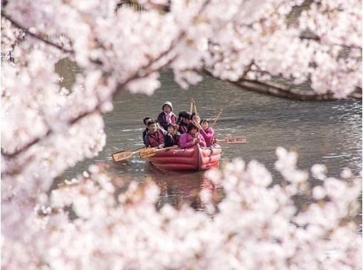 エコロの森