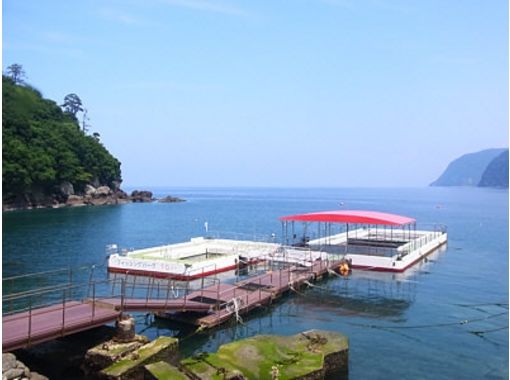 海冒主(Umibouz)