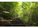 もう一度富士山へ登りたい方へ!【 Another route program】須走口登山道プログラムの様子