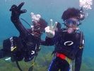 【神奈川県・湘南・江ノ島】手軽に体験ダイビング1日コース「水中写真・無料プレゼント」の様子