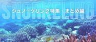 20141002_snorkeling