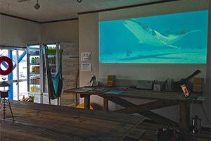 20150520_beach-camp05