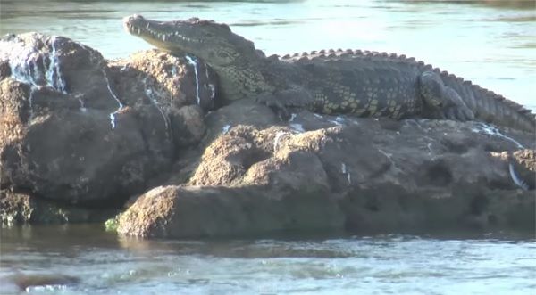衝撃のラフティング