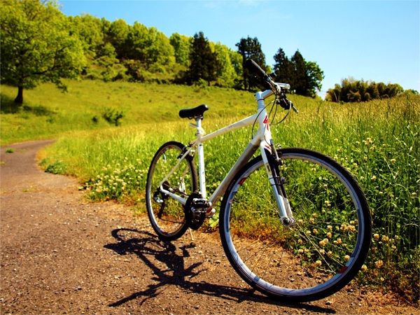 自転車の選び方