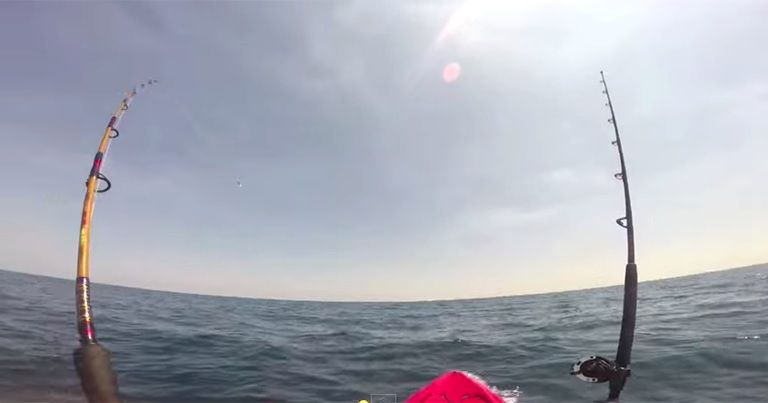 【動画】掛ったのは...サメ! スリル満点のカヤックフィッシング