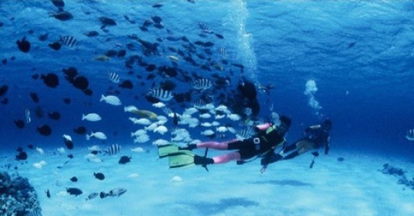 201506_diving