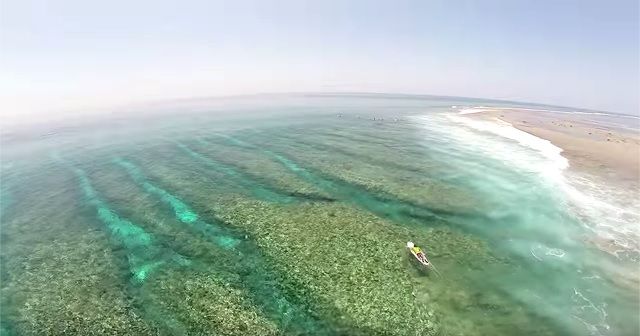 サンゴ透け透けの海!!モルディブでのサーフ映像が美しい!!