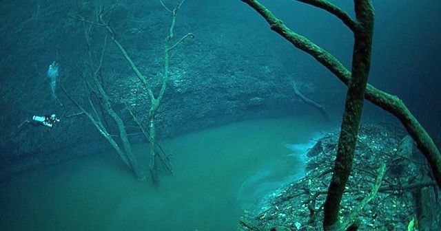 メキシコのセノーテ。水底に「川」が流れてる!?