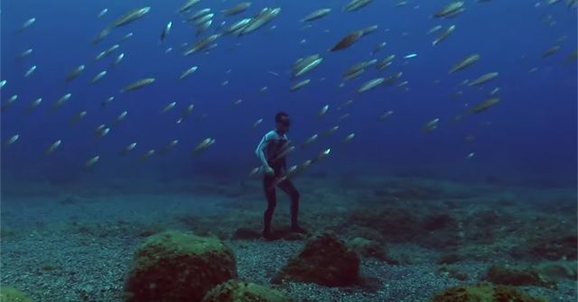 The Ocean Brothers