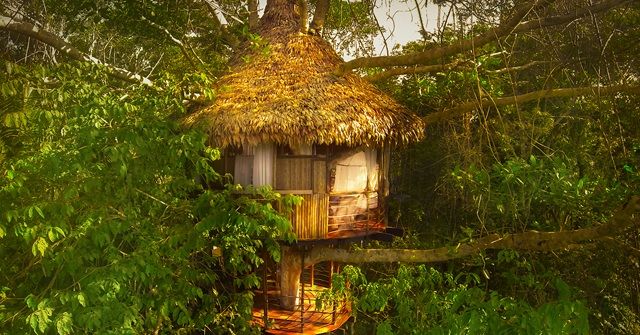 進化を遂げ続ける『GLAMPING(グランピング)』!ペルーのツリーハウス!!