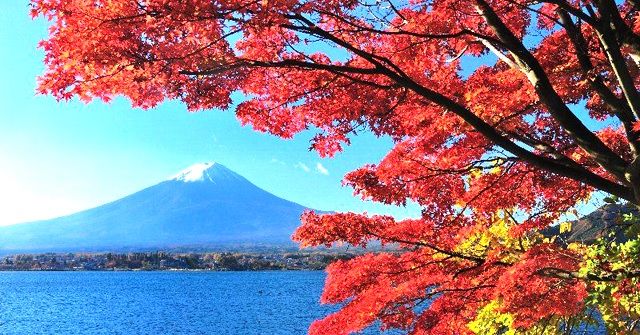 紅葉のみごろを迎えた山梨・箱根・伊豆の体験できるアクティビティ情報