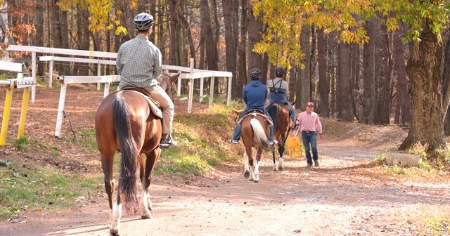 201512_horse_trekking