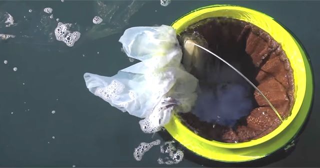 海外メディアで大反響!海のゴミや汚染物質を吸い取る装置を開発する『SEABIN PROJECT』!!