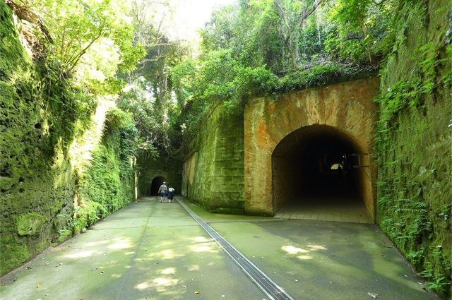 無人島『猿島(さるしま)』を貸切