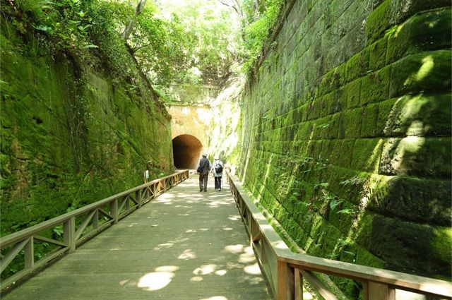 無人島『猿島(さるしま)』を貸切