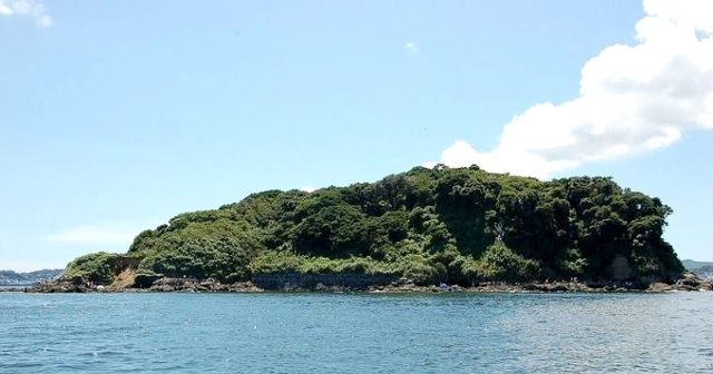 冬季平日限定!東京湾に浮かぶ無人島『猿島(さるしま)』を貸切にできる!!