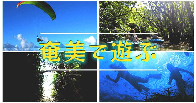 奄美で遊ぶ ~奄美大島のおすすめ感動体験~のバナー