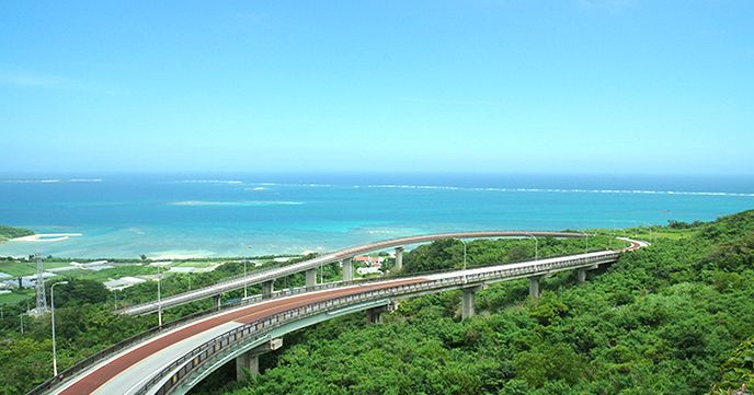 【アクティビティジャパン×ジャスタビ】ホエールウォッチングと絶景ドライブで冬の沖縄大満喫!南部観光モデルコース