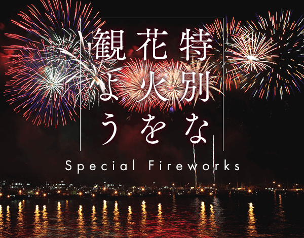 2017花火大会 予約