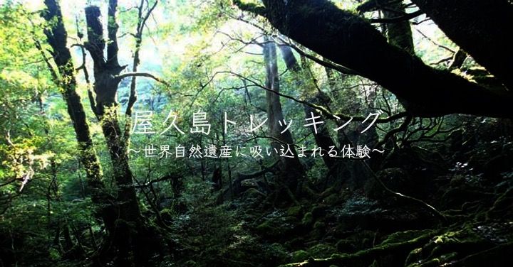 2017_yakushima