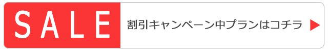 アクティビティ セール
