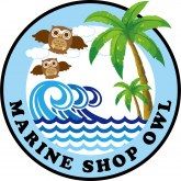 Marine shop owl