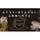 ふくろう＋は虫類とふれあえるカフェ　カントリーオウルぷらす