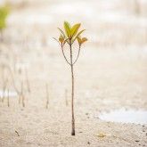 事業者ロゴ