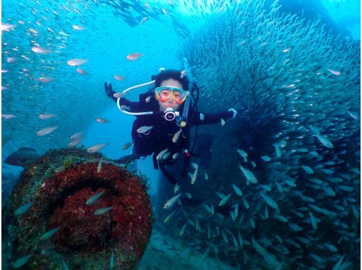 SORA DIVE SHOP のギャラリー