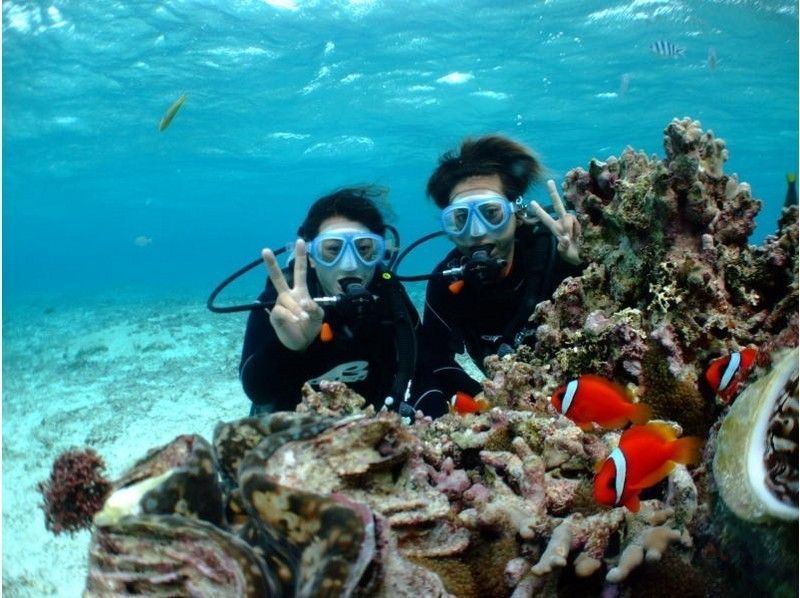 [Okinawa main island recommended shop] Experience diving, snorkeling, sea walk etc ... Popular tour held "Blue Ocean"