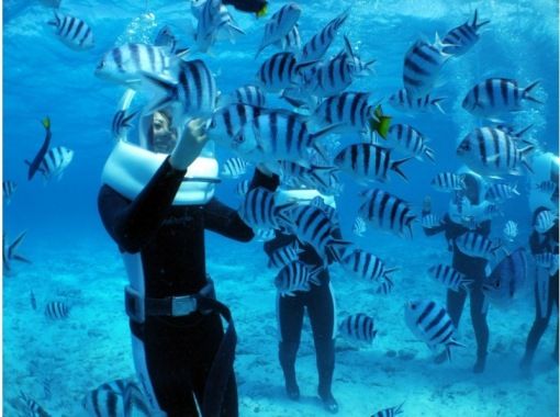 沖縄｜青の洞窟＆シーウォーク専門店　ブルーオーシャン のギャラリー