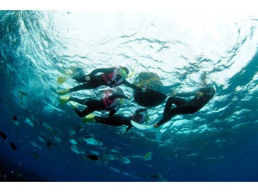 沖縄｜青の洞窟＆シーウォーク専門店　ブルーオーシャン のギャラリー