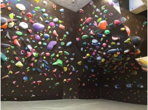 Ever Free Climbing Gym エバーフリークライミングジム の予約 アクセス 営業時間 アクティビティジャパン