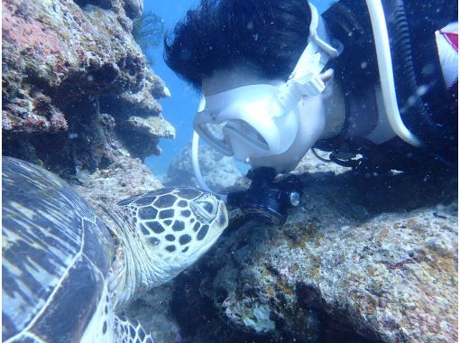 ココマジック石垣島 のギャラリー