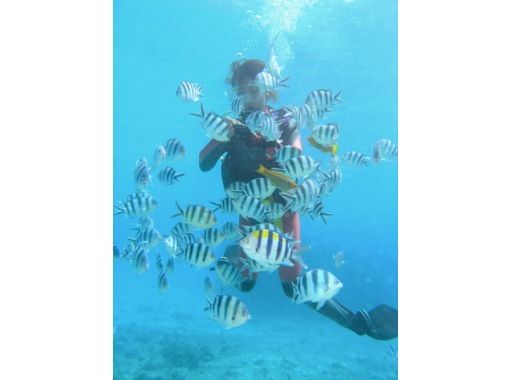 沖縄ダイビングサービス あいる・ぷまんどぅ のギャラリー